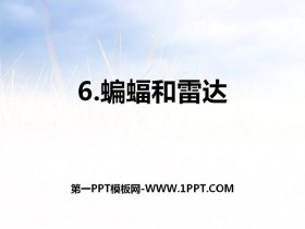 《蝙蝠和雷达》PPT-第一PPT