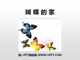 《蝴蝶的家》PPT教学课件-第一PPT