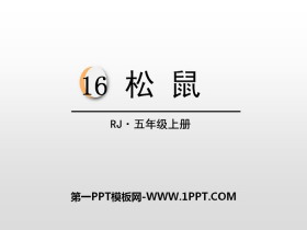 《松鼠》PPT免费课件下载-第一PPT