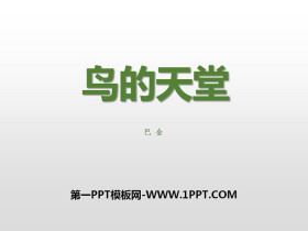 《鸟的天堂》PPT-第一PPT