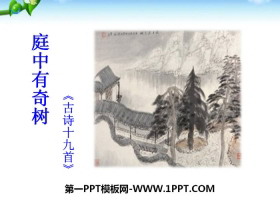 《庭中有奇树》PPT课件-第一PPT