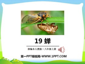 《蝉》PPT-第一PPT