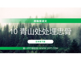 《青山处处埋忠骨》PPT课件免费下载-第一PPT
