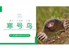 《寒号鸟》PPT精品课件下载-第一PPT
