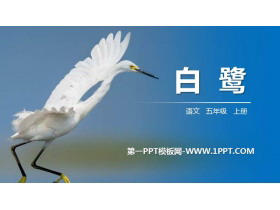 《白鹭》PPT精品课件-第一PPT