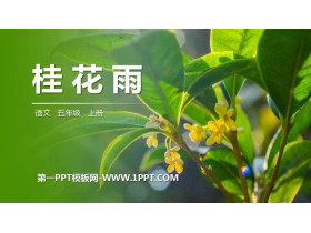 《桂花雨》PPT精品课件下载-第一PPT
