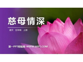 《慈母情深》PPT精品课件-第一PPT