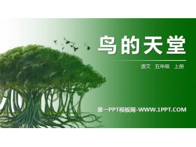 《鸟的天堂》PPT精品课件-第一PPT
