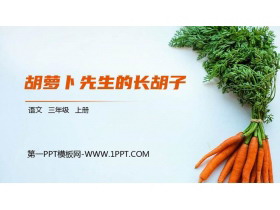 《胡萝卜先生的长胡子》PPT精品课件-第一PPT