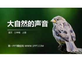 《大自然的声音》PPT精品课件-第一PPT