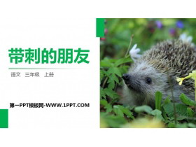 《带刺的朋友》PPT精品课件-第一PPT