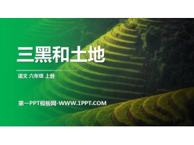 《三黑和土地》PPT优秀课件下载-第一PPT