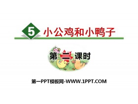 《小公鸡和小鸭子》PPT(第二课时)-第一PPT