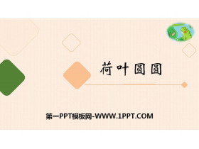 《荷叶圆圆》PPT下载-第一PPT