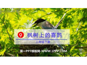 《枫树上的喜鹊》PPT课件-第一PPT