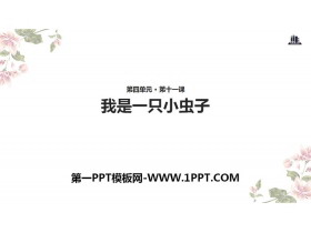 《我是一只小虫子》PPT下载-第一PPT