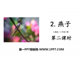 《燕子》PPT下载(第二课时)-第一PPT