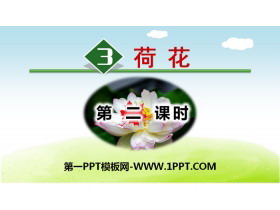 《荷花》PPT下载(第二课时)-第一PPT