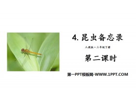 《昆虫备忘录》PPT(第二课时)-第一PPT