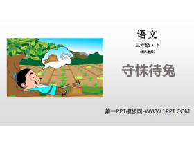 《守株待兔》PPT教学课件-第一PPT