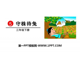 《守株待兔》PPT免费课件-第一PPT