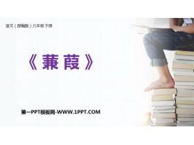 《蒹葭》PPT精品课件-第一PPT