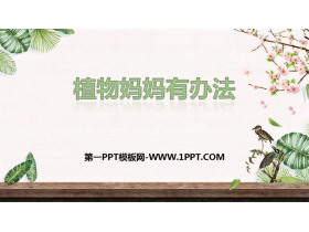 《植物妈妈有办法》PPT优质课件免费下载-第一PPT