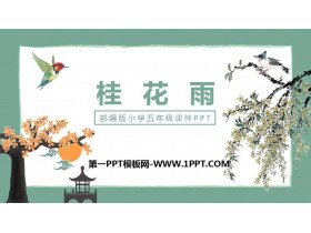 《桂花雨》PPT精品课件免费下载-第一PPT