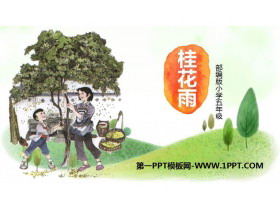 《桂花雨》PPT免费课件下载-第一PPT