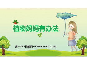 《植物妈妈有办法》PPT课文课件-第一PPT