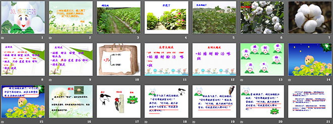 图片[2]-《棉花姑娘》PPT课件6-第一PPT