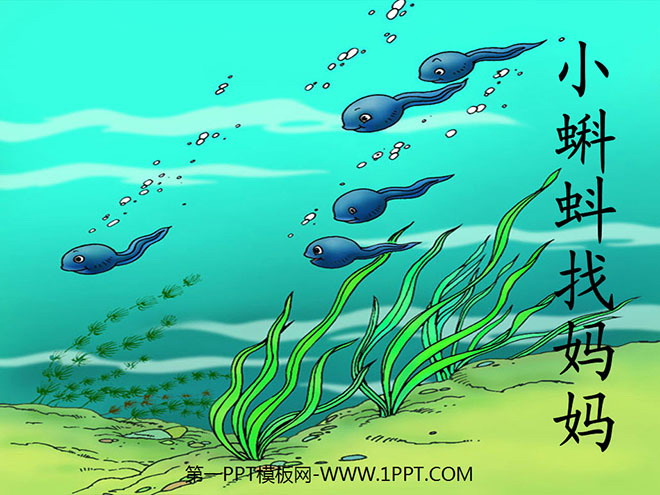 图片[1]-《小蝌蚪找妈妈》PPT课件2-第一PPT