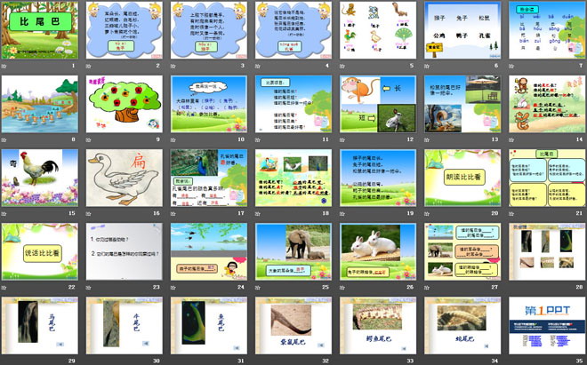 图片[2]-《比尾巴》PPT课件8-第一PPT