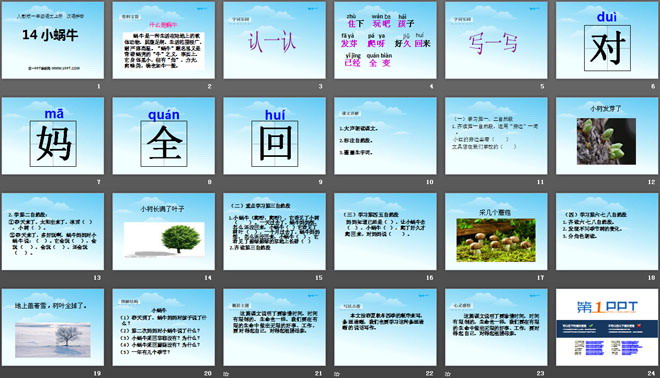 图片[2]-《小蜗牛》PPT课件-第一PPT