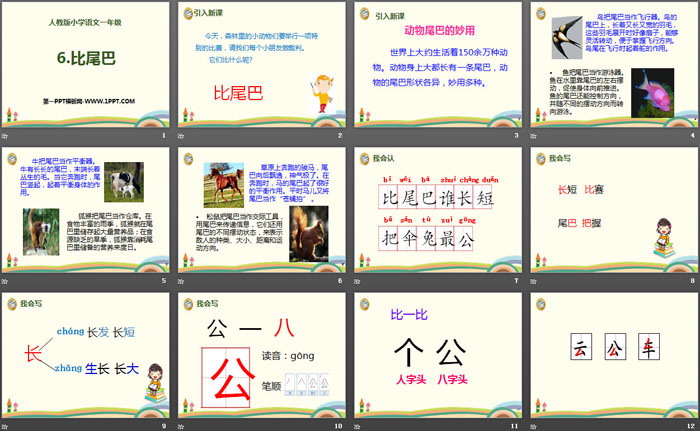 图片[2]-《比尾巴》PPT-第一PPT