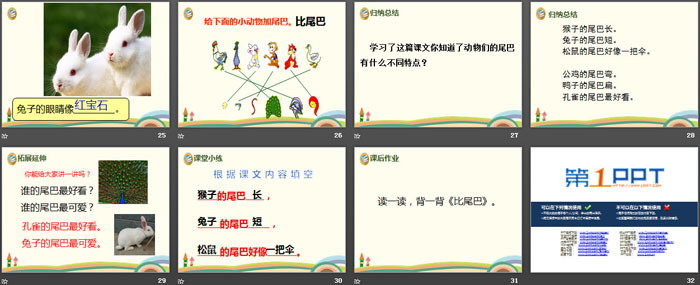 图片[4]-《比尾巴》PPT-第一PPT