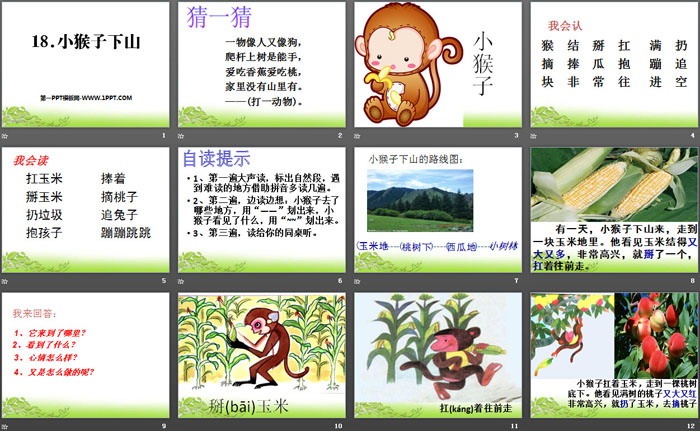 图片[2]-《小猴子下山》PPT-第一PPT