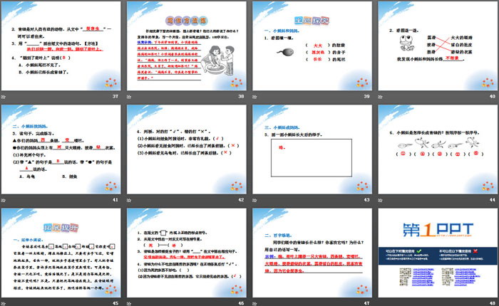 图片[5]-《小蝌蚪找妈妈》PPT下载-第一PPT