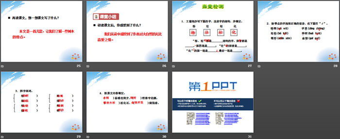 图片[4]-《树之歌》PPT-第一PPT
