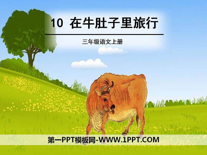 图片[1]-《在牛肚子里旅行》PPT下载-第一PPT