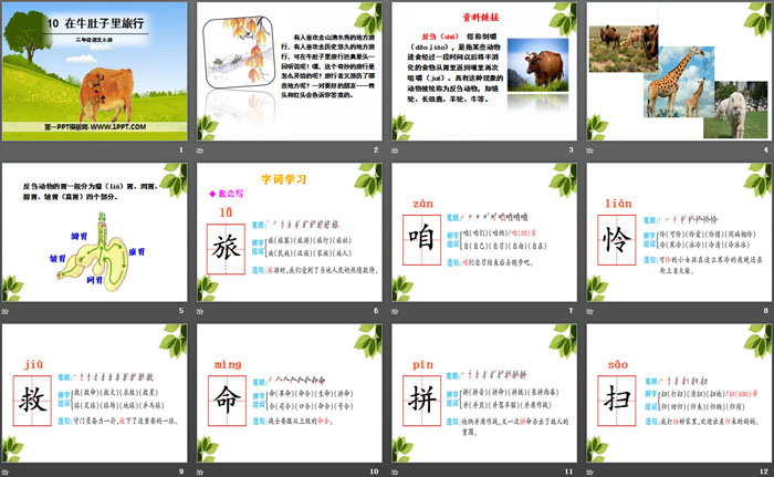 图片[2]-《在牛肚子里旅行》PPT下载-第一PPT