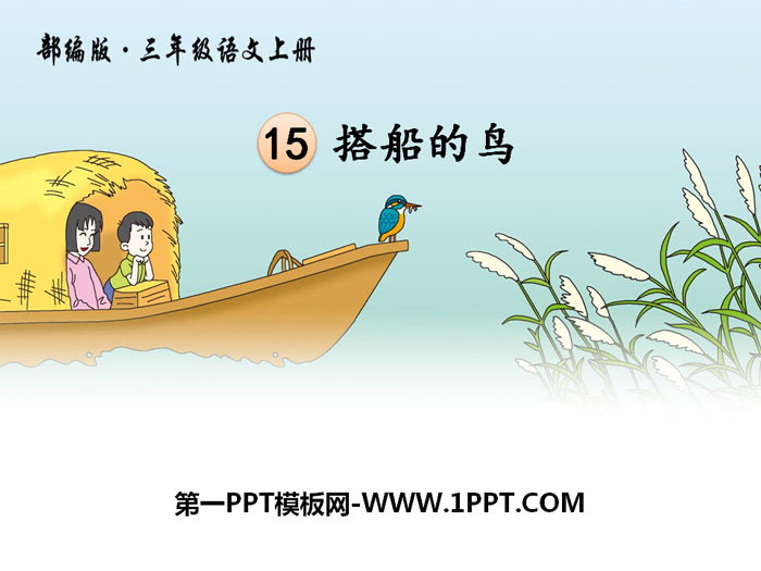 图片[1]-《搭船的鸟》PPT教学课件-第一PPT