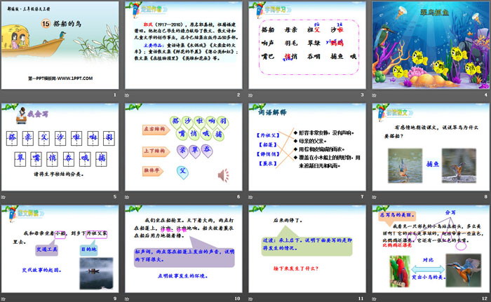 图片[2]-《搭船的鸟》PPT教学课件-第一PPT