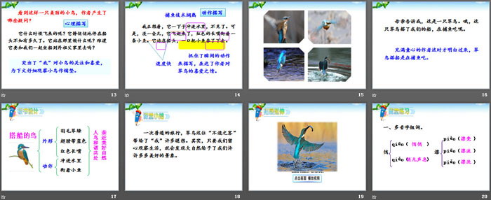 图片[3]-《搭船的鸟》PPT教学课件-第一PPT