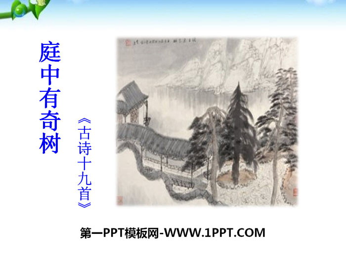 图片[1]-《庭中有奇树》PPT课件-第一PPT