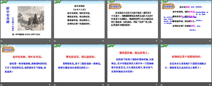 图片[2]-《庭中有奇树》PPT课件-第一PPT