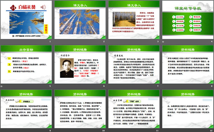 图片[2]-《白杨礼赞》PPT-第一PPT