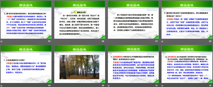 图片[4]-《白杨礼赞》PPT-第一PPT