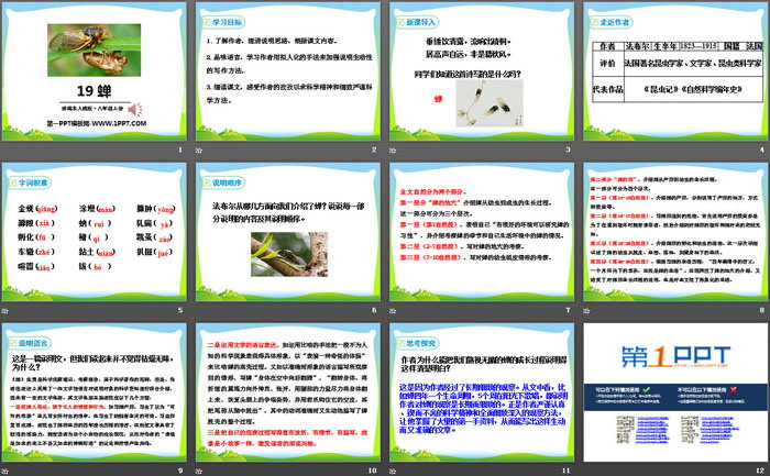 图片[2]-《蝉》PPT-第一PPT