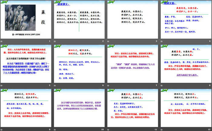 图片[2]-《蒹葭》PPT-第一PPT